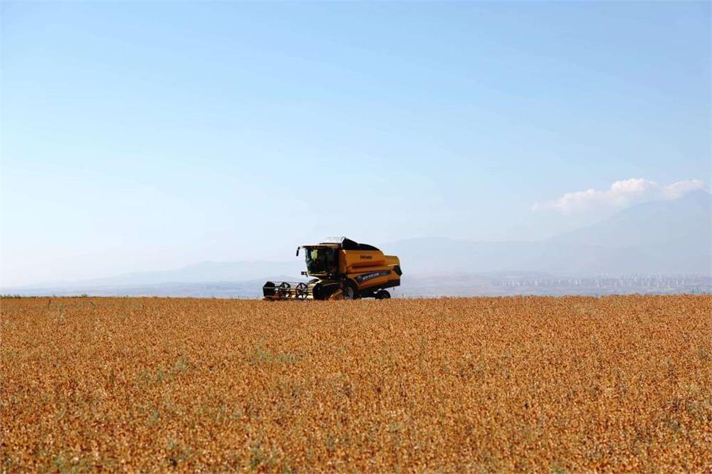 Başkan Çolakbayrakdar, 