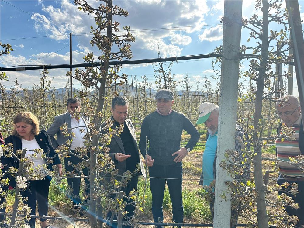 Kayseri, 250 bin ton elma hasadından oldu Kayseri, 250 bin ton elma hasadından oldu
